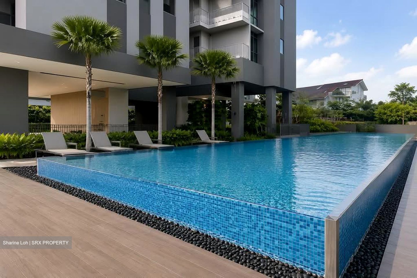 Amo Residence (D20), Apartment #556764481